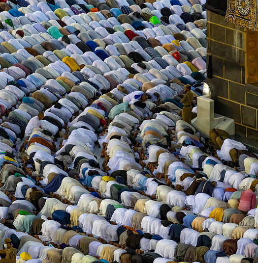 صورة المدونة