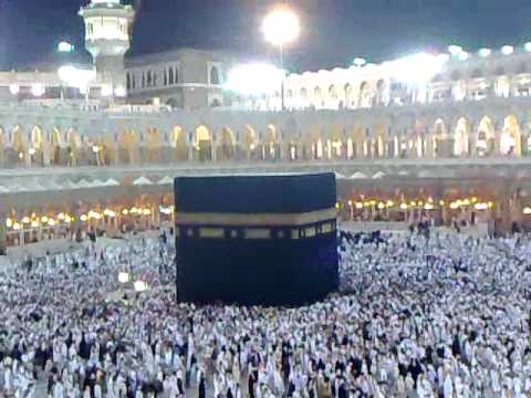 دلائل التوحيد في طواف الكائنات 