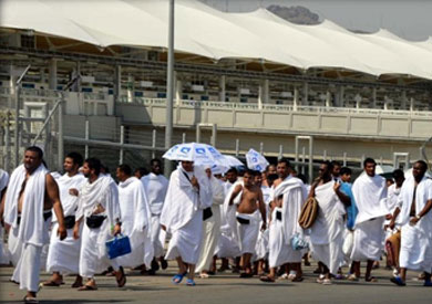 الآفات الأكثر شيوعًا في الحج 
