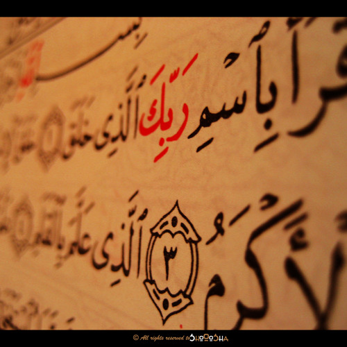 وفاة أبو عمر الدورى صاحب القراءة القرآنية  