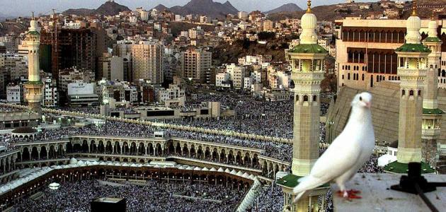 إلى كل مسلم بعد الحج ـ أمير المدري 