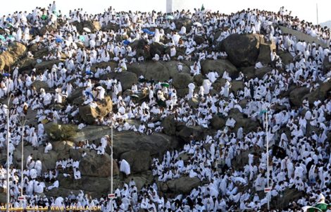 الحج شعار الوحدة والتوحيد..وليس له جزاء إلا الجنة 